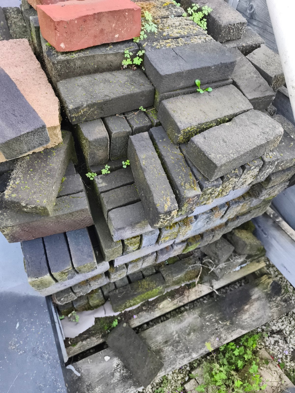 zwarte baksteen gratis op te halen, Tuin en Terras, Ophalen