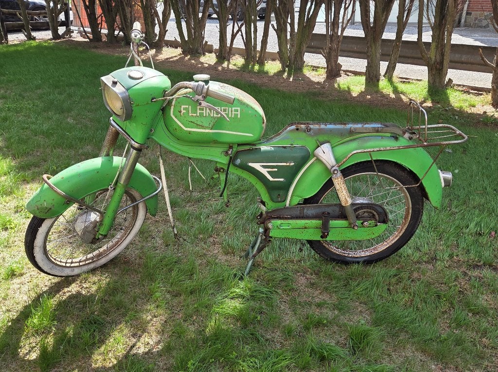 Flandria Rally 1965 ossekop, Autres marques, 4 vitesses, 49 cm³, Enlèvement