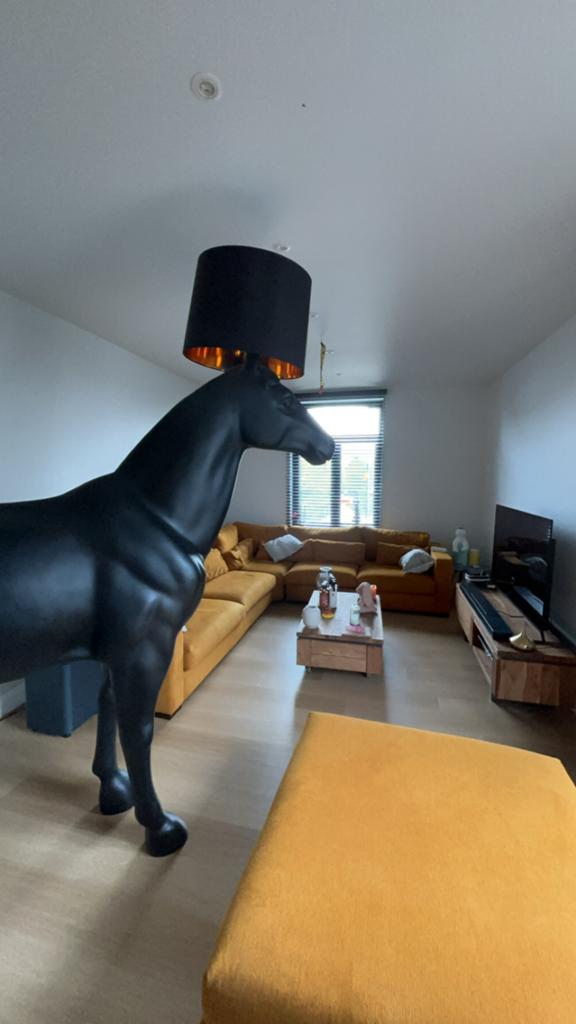 Lampe cheval, Enlèvement