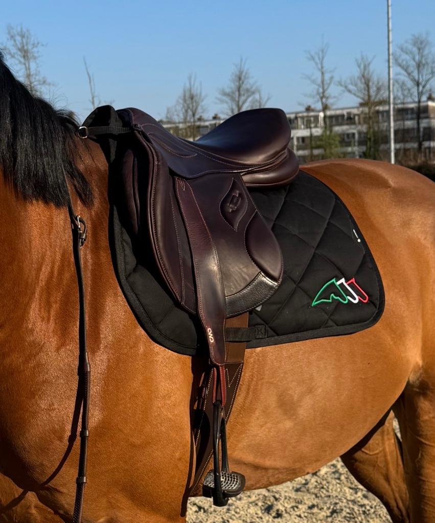Selle Stubben Phœnix Élite, Enlèvement, Comme neuf, Obstacle