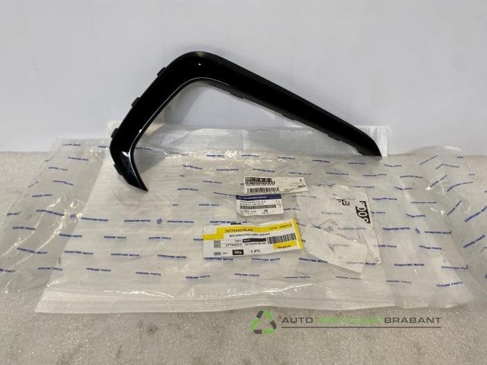 Plaque de protection feu antibrouillard droit d'un Ssang Yon, -, 3 mois de garantie, Utilisé, SsangYong