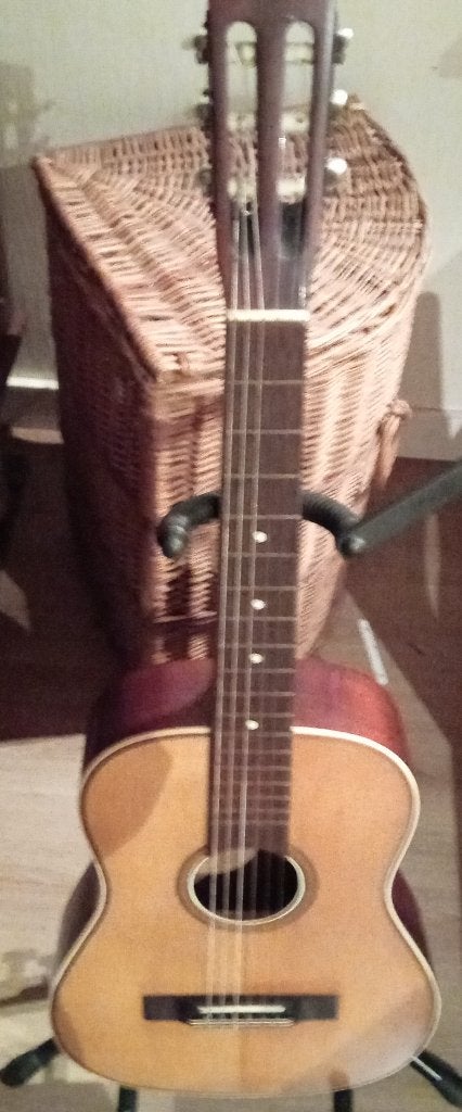 Klassieke gitaar in koffer, Ophalen, Gebruikt, Klassieke of Spaanse gitaar
