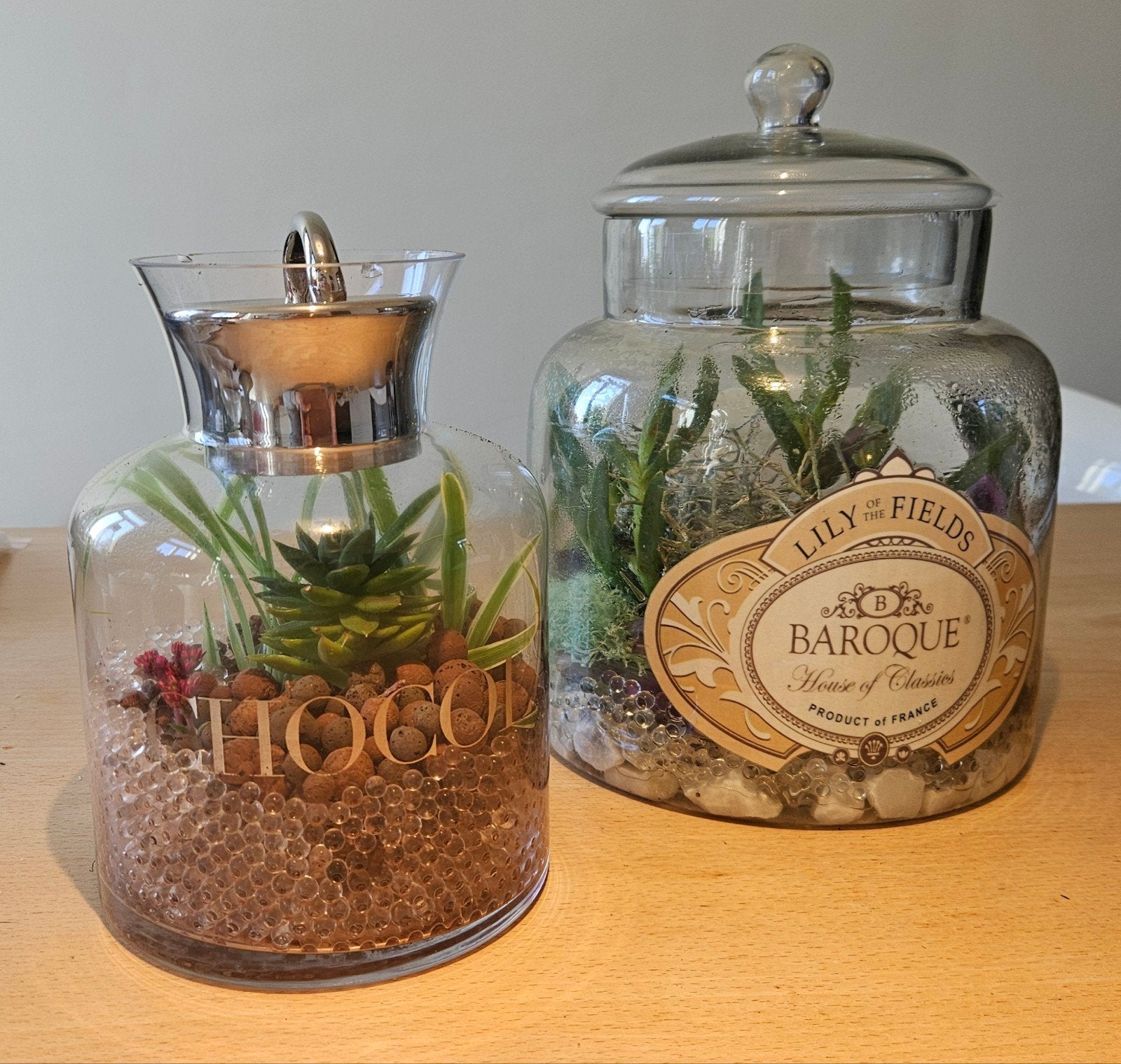 terrarium dans les tons de rose dans un bocal de rangement r, En pot, Plante à fleurs, Moins de 100 cm, Enlèvement