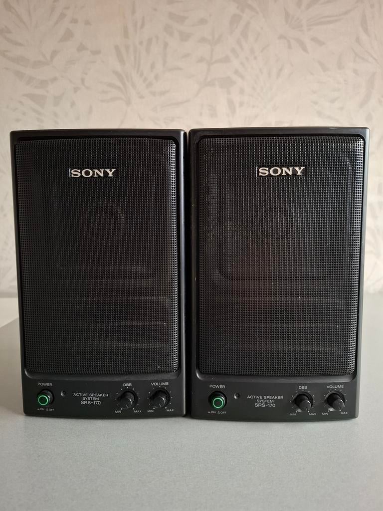 sony srs-170 active speakers, TV, Hi-fi & Vidéo, Enceintes, Enlèvement, Utilisé, Sony