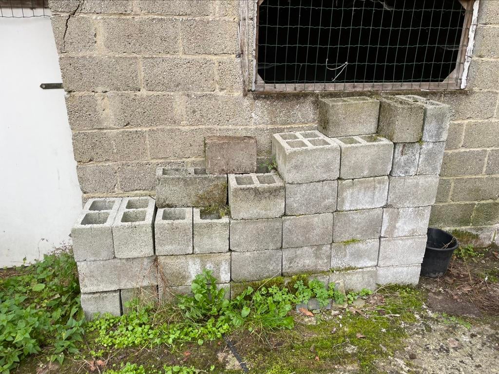 Baksteen te koop, Enlèvement, Comme neuf, Briques