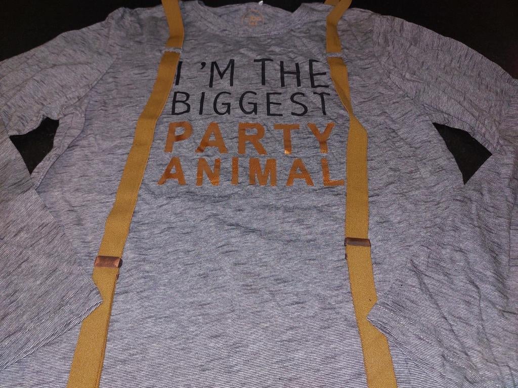 Partyshirt, maat 164, Kinderen en Baby's, Kinderkleding | Maat 164, Ophalen of Verzenden, Zo goed als nieuw, Shirt of Longsleeve