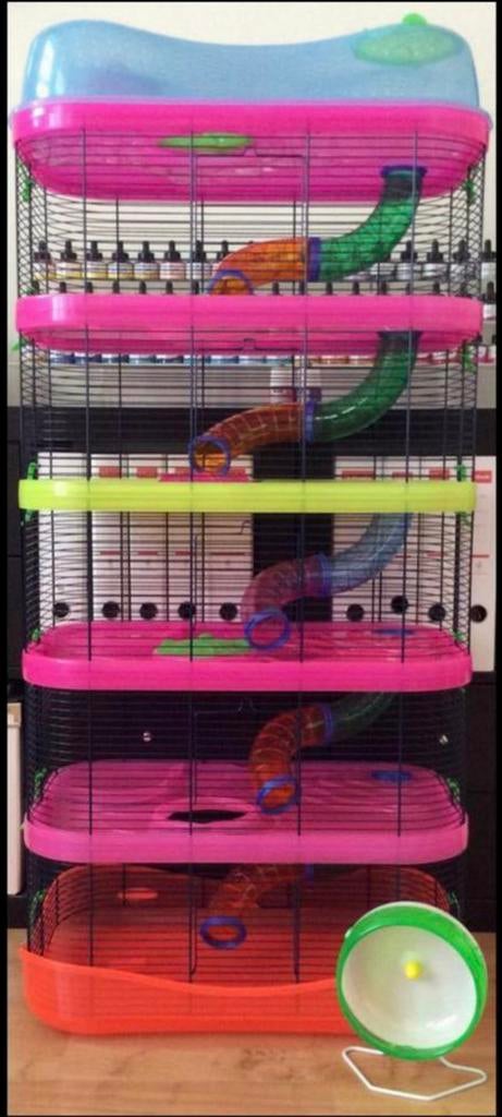 Cage imac 6 étages pour petit rongeurs, Animaux & Accessoires, Enlèvement, Utilisé, Cage