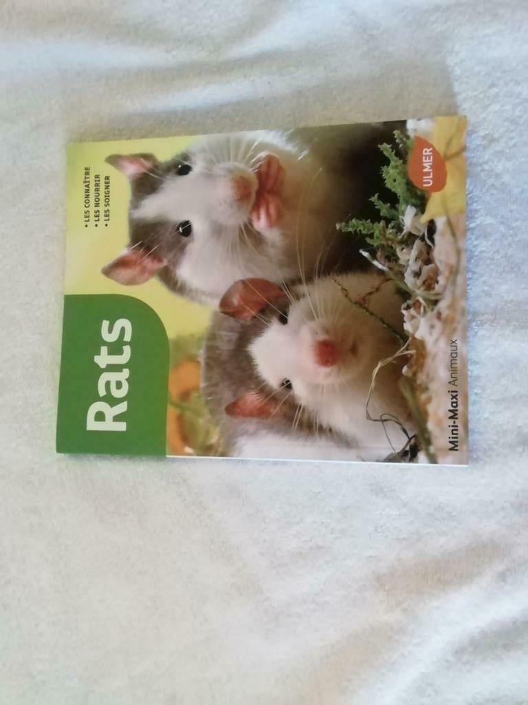 Livre les rats, Enlèvement