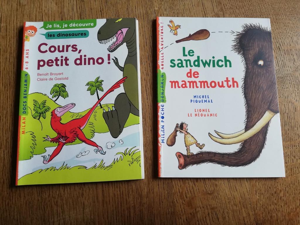 2 livres collection Milan, Garçon ou Fille, Enlèvement ou Envoi, Fiction général, Utilisé