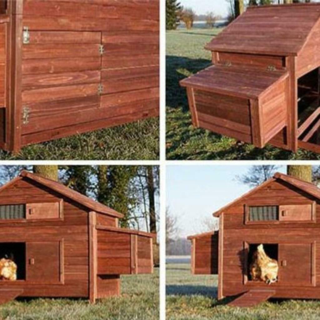Poulailler XXL 8 poules abri poule coq maison poule NEUF, Envoi, Neuf, Poulailler