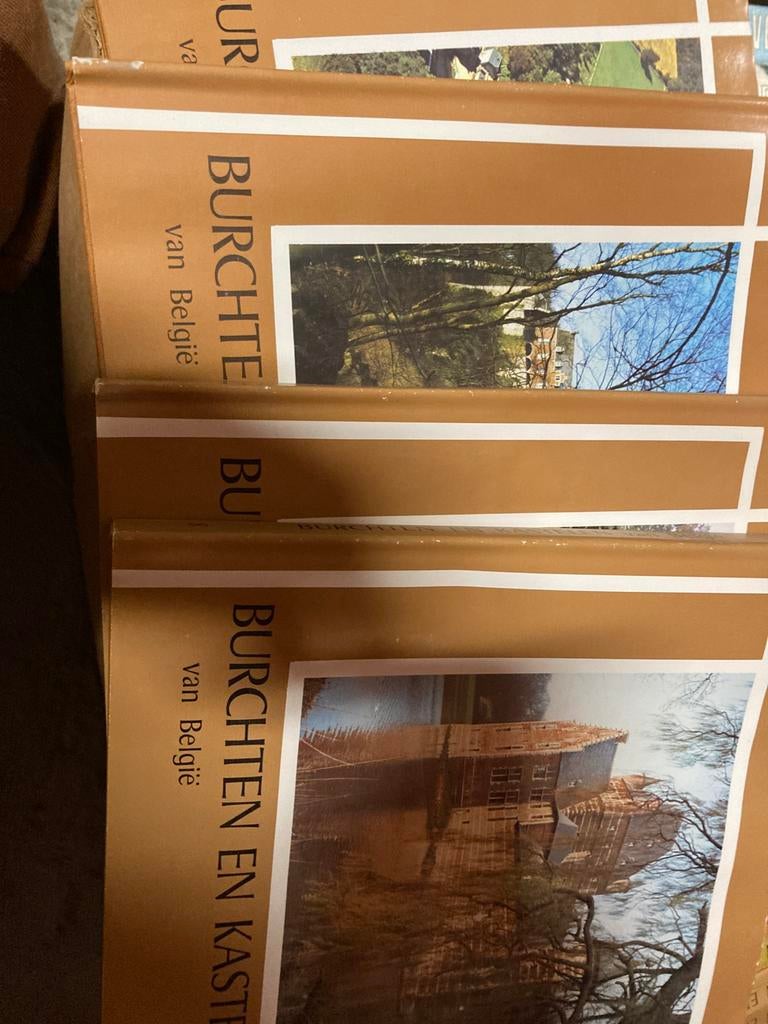 Lot boeken met burchten en kastelen België, Ophalen of Verzenden, 19e eeuw, Gelezen