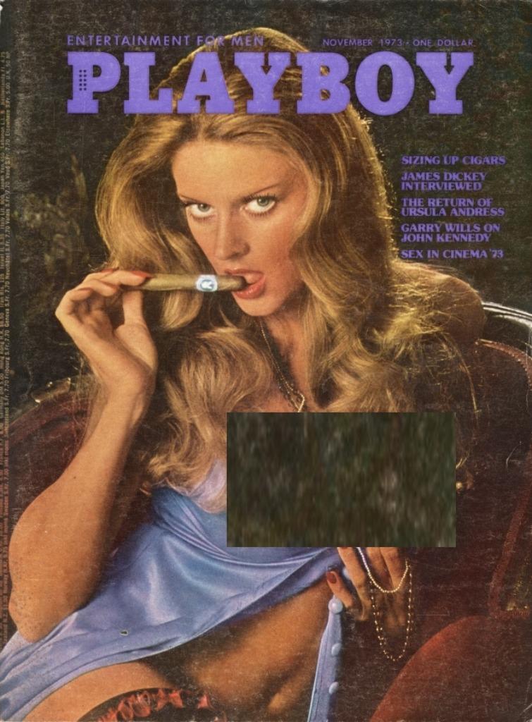 Playboy Amerikaanse (USA US) - November 1973, Boeken, Tijdschriften en Kranten, Verzenden, Gelezen, Overige typen