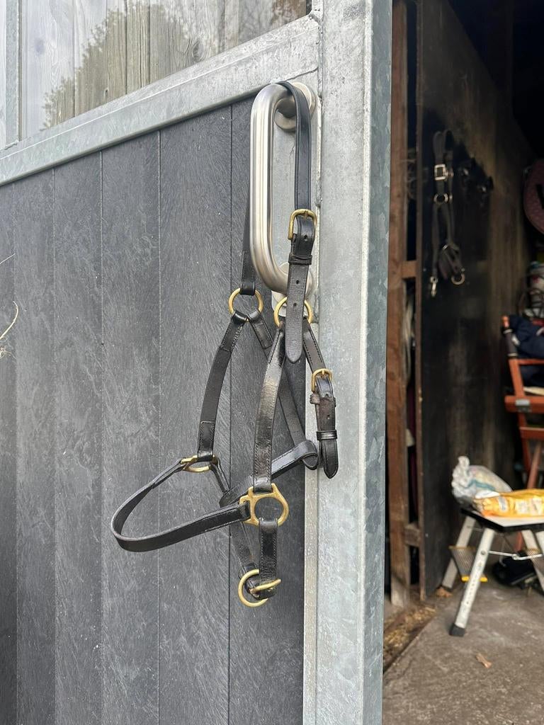 Lederen halster cob, Ophalen of Verzenden, Zo goed als nieuw