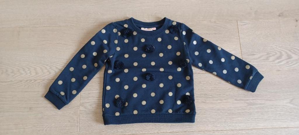 Truien - vestjes / cardigans maat 104 (meisjes), Ophalen of Verzenden, Zo goed als nieuw, Meisje, Trui of Vest