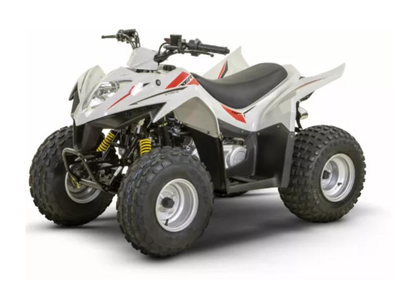 Kymco Maxxer 90, 90 cc, 11 kW of minder, Moto6, 1 cilinder