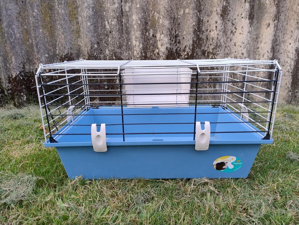 Cage Ferplast pour petit rongeur, Animaux & Accessoires, Écureuil, Moins de 60 cm, Cage, Utilisé