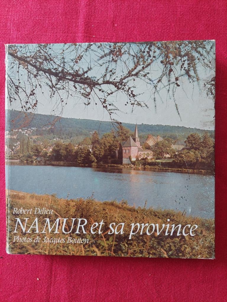 Namur et sa province Robert Delieu, Enlèvement ou Envoi, Utilisé