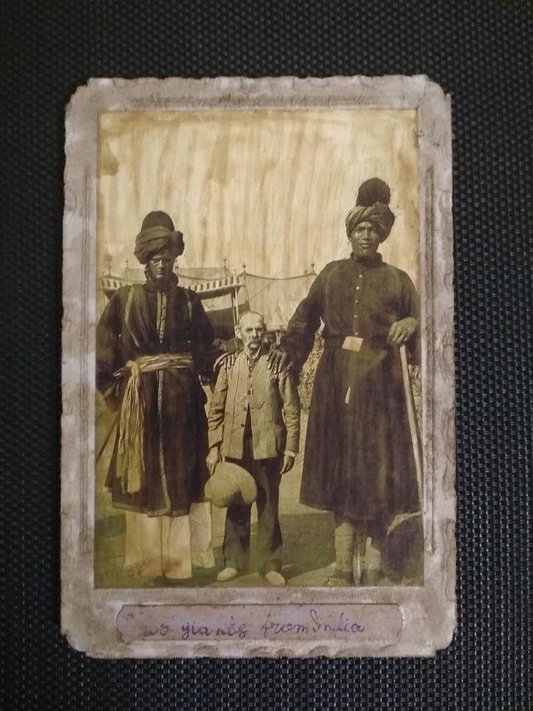 Drie foto's van reuzen, Verzenden, Gebruikt, Buitenland, Foto