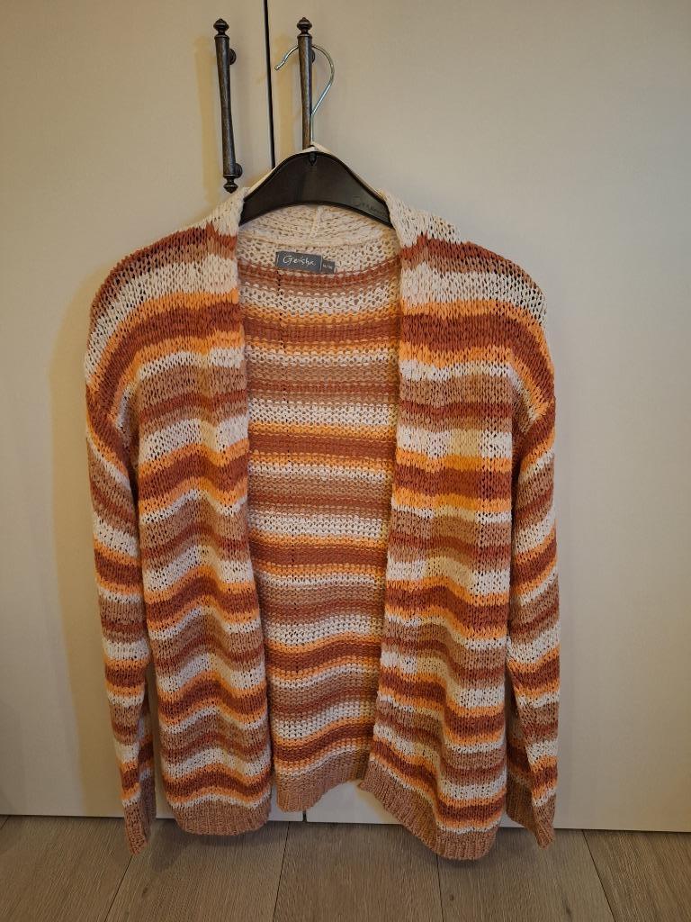 Gehaakte cardigan zonder knopen, merk Geisha (E5), maat M/38, Taille 38/40 (M), Autres couleurs, Comme neuf, Geisha