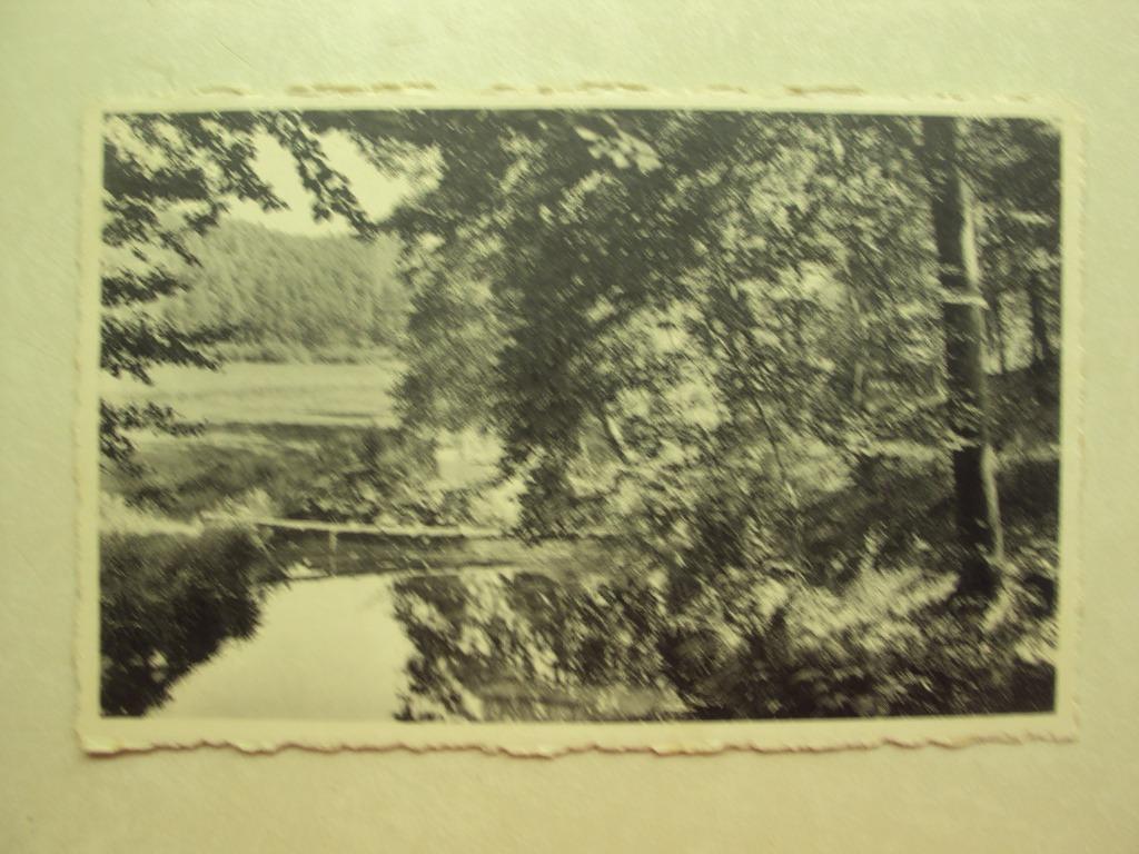 49270 - LES FORGES - CLAIRIERE DANS LE FORET, Envoi