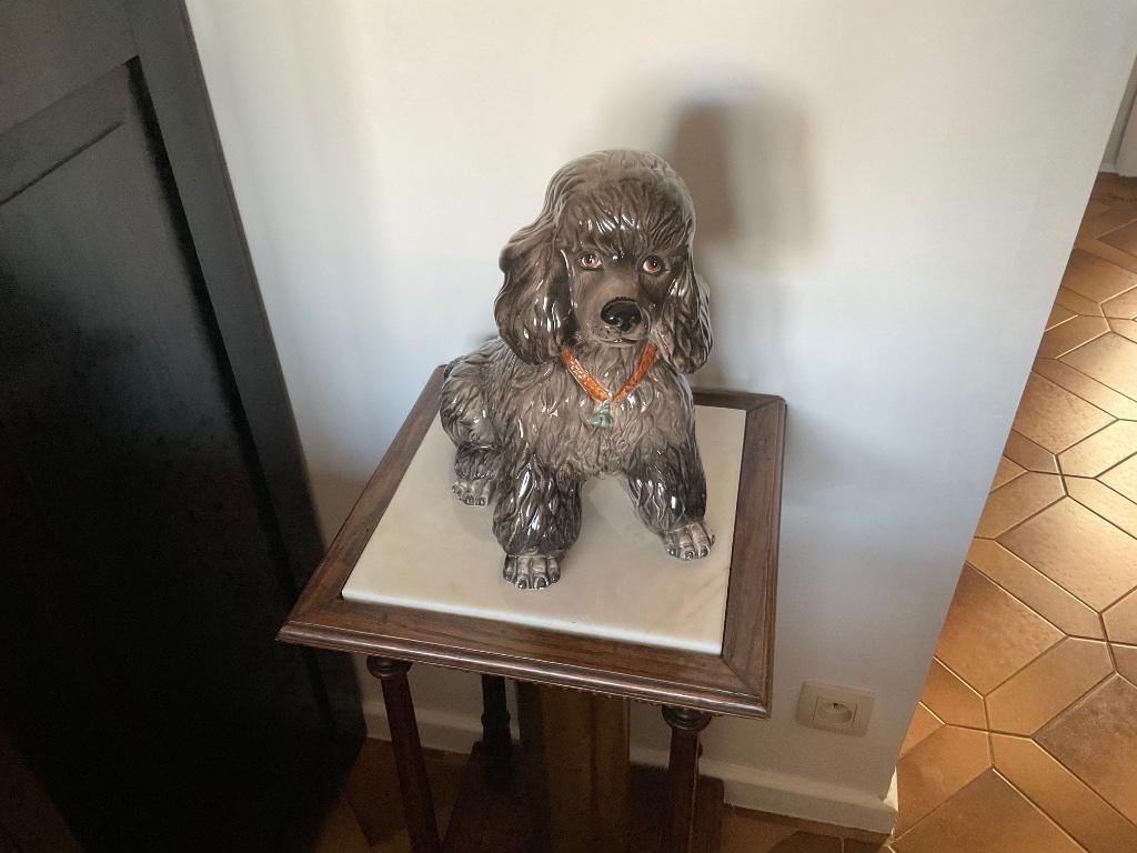 Prachtig beeld zittende poedel / Poodle, Enlèvement ou Envoi