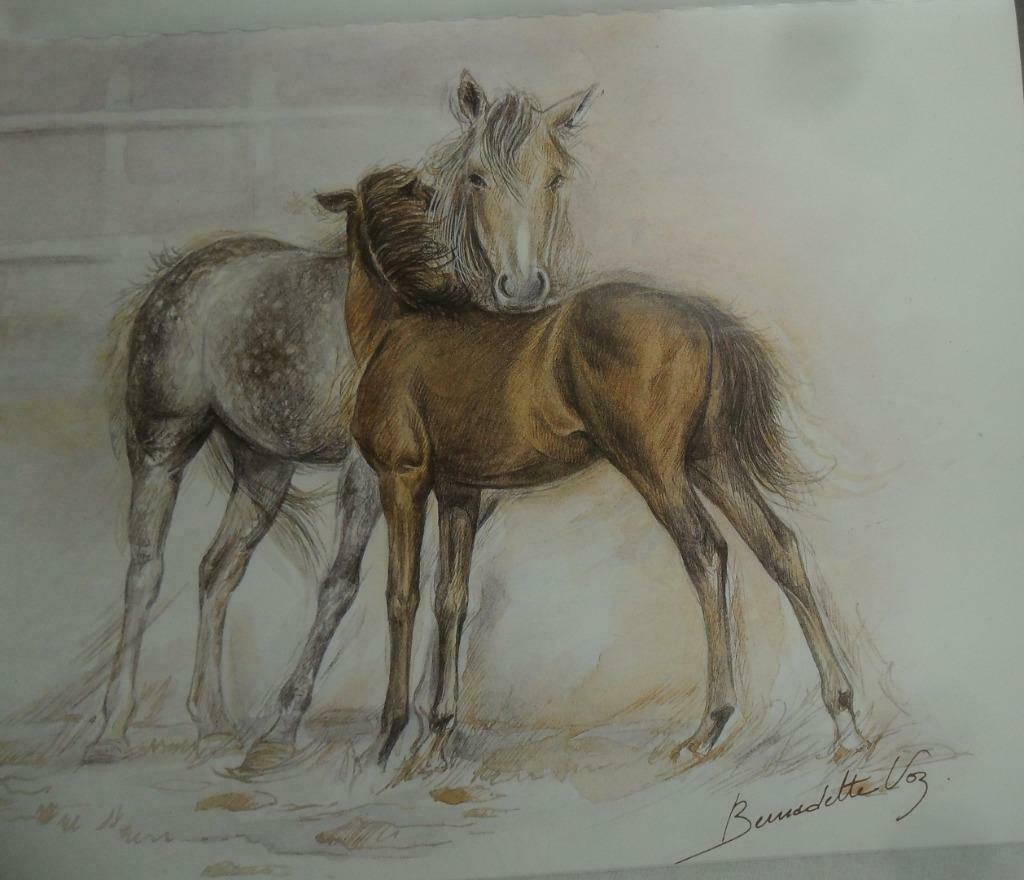 5 tekeningen Bernadette Voz  paarden Ree eekhoorn, Enlèvement ou Envoi, Neuf