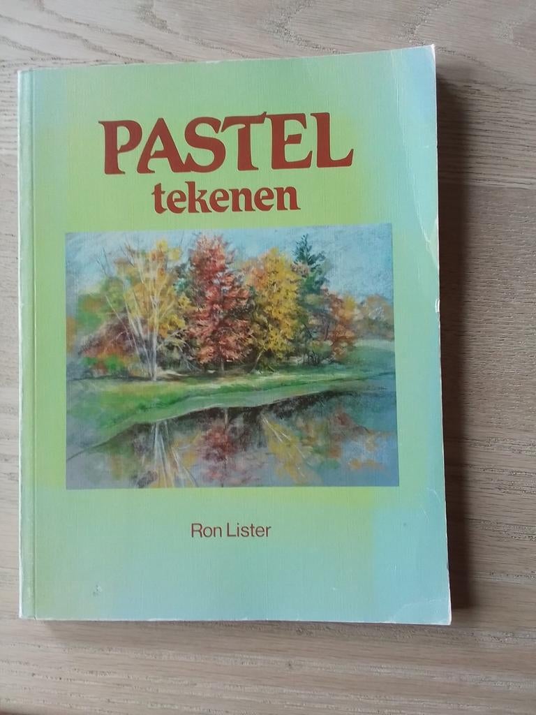 Pastel tekenen, Ophalen of Verzenden, Zo goed als nieuw