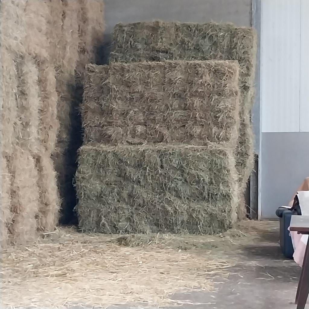 Mooi hooi en stro, Ophalen