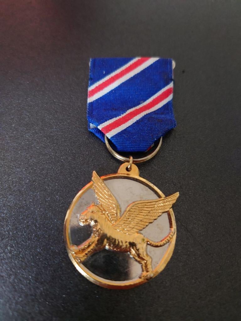ww2 medal flying Tigers, Ophalen of Verzenden, Luchtmacht, Lintje, Medaille of Wings