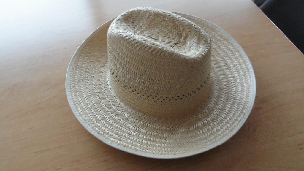 Hoeden, Ophalen of Verzenden, Nieuw, One size fits all, Hoed