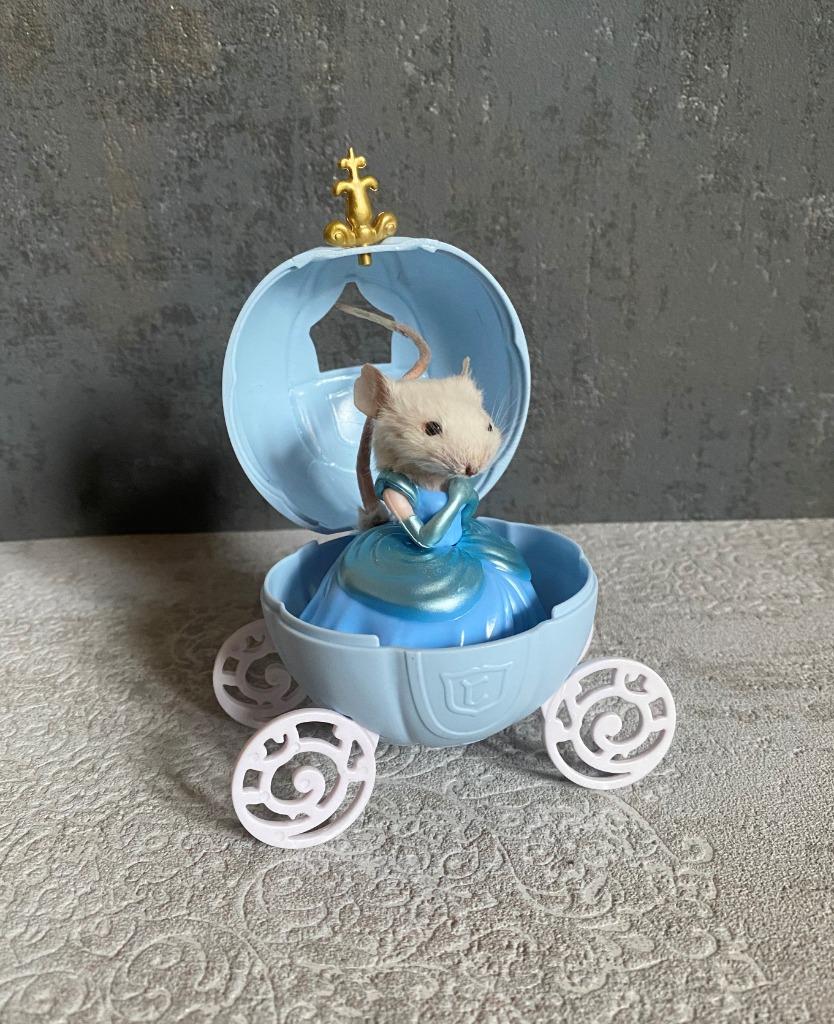 Opgezette muis Assepoester - taxidermie, Ophalen of Verzenden