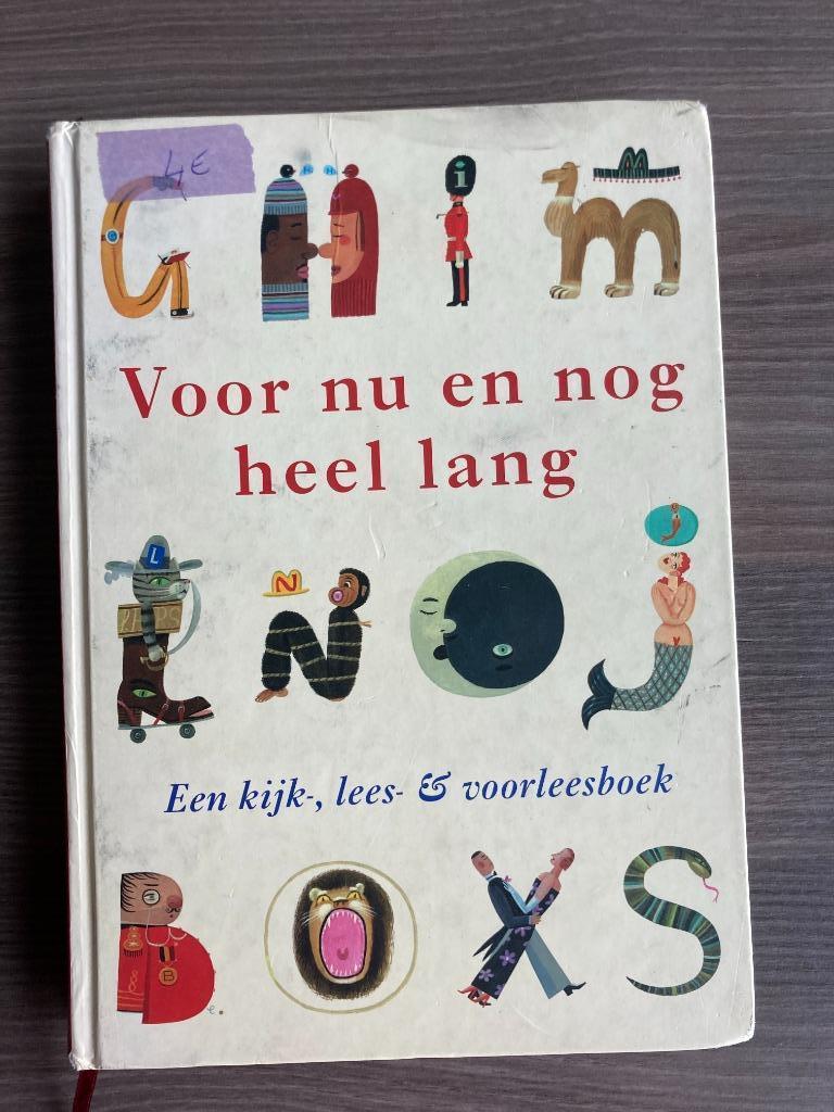 boek "voor nu en nog heel lang" 261 blz, Enlèvement ou Envoi, Utilisé