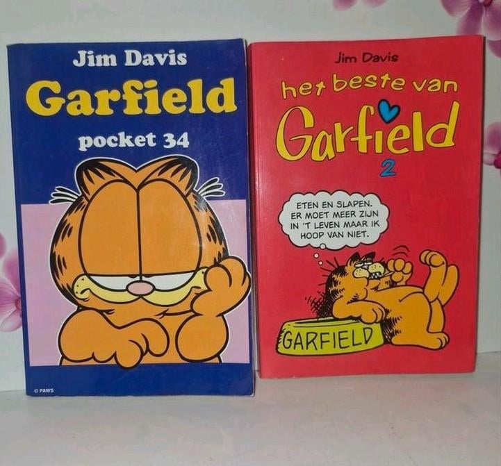 🧡 2 Garfield Boekjes, Verzamelen, Ophalen of Verzenden, Garfield, Boek of Spel