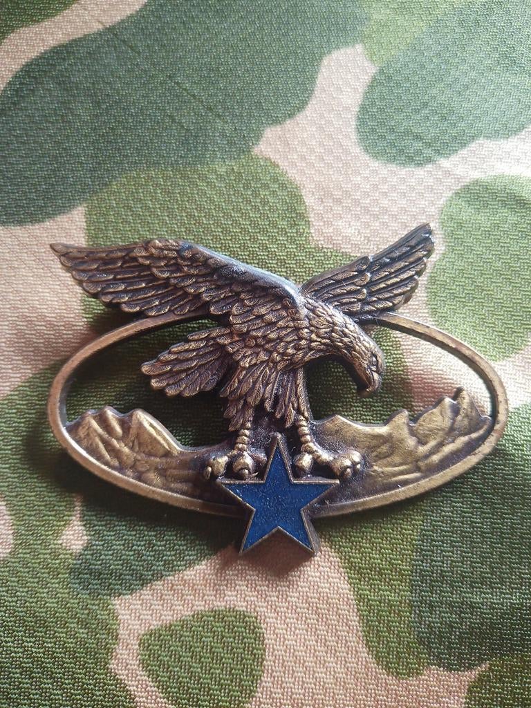 Brevet  troupes de Montagne (BQTM), lire annonce, Armée de terre, Emblème ou Badge