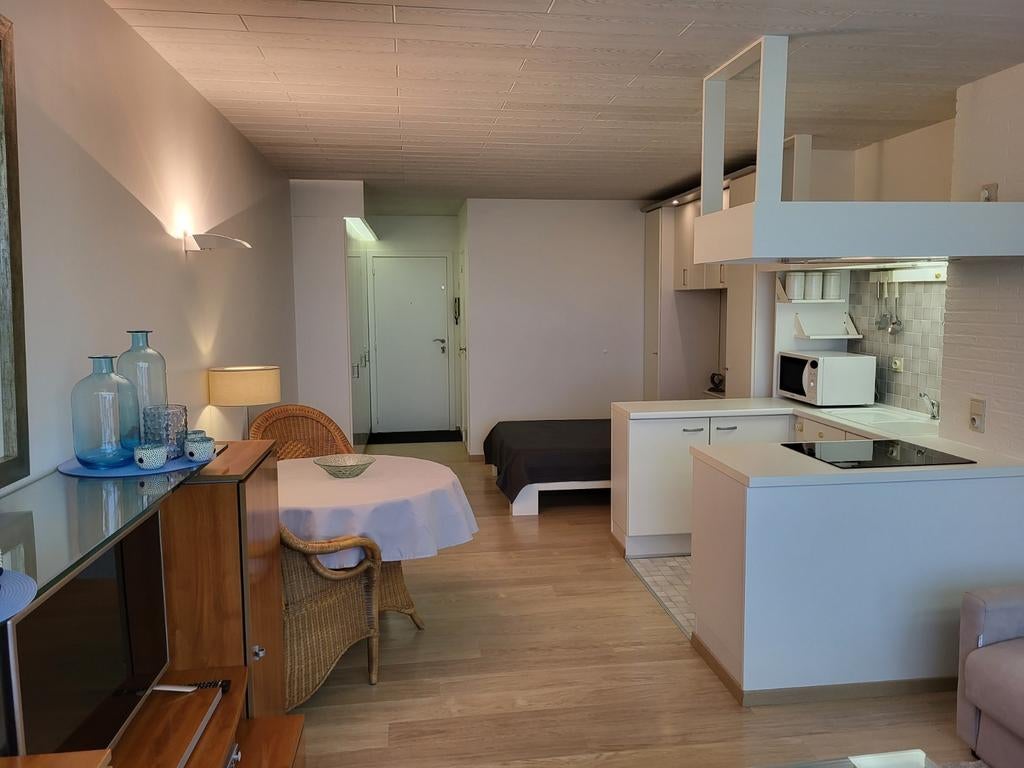 Vakantie Aan Zee Studio Middelkerke ZEEZICHT BALKON, Internet, Antwerpen of Vlaanderen, Appartement, Overige