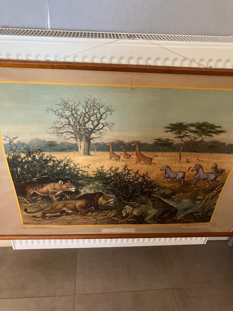 Oude schoolplaat M.A. Koekkoek, Antiek en Kunst, Ophalen