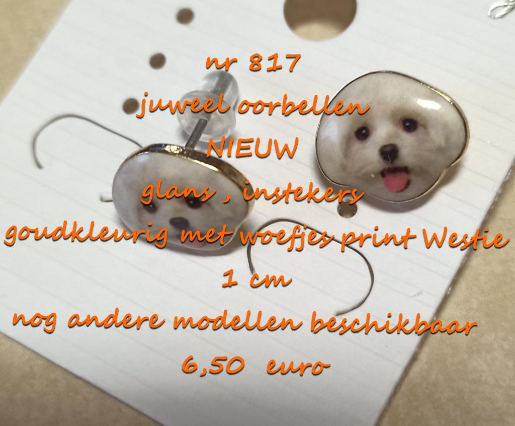 817. Bijou : boucles d'oreilles, NEUF, frais de port inclus, Autres couleurs, Autres matériaux, Envoi, Neuf