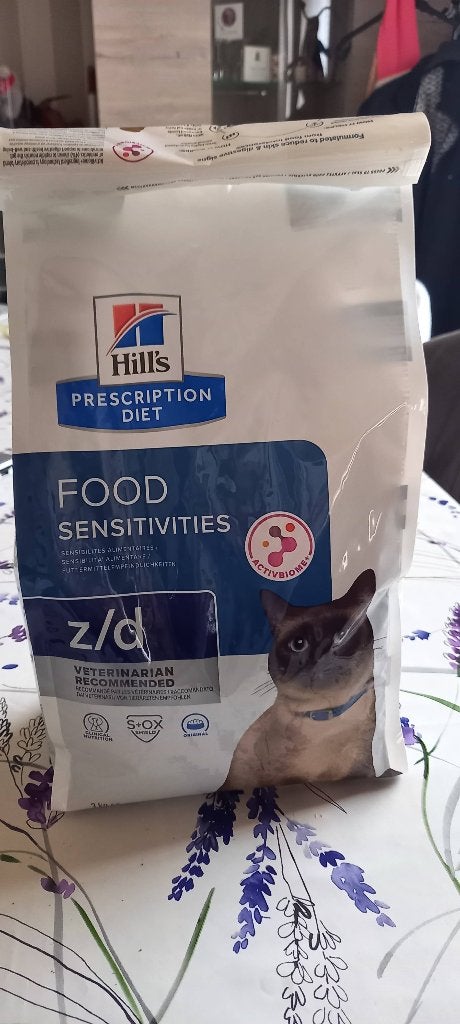 Katten eten, Ophalen, Kat