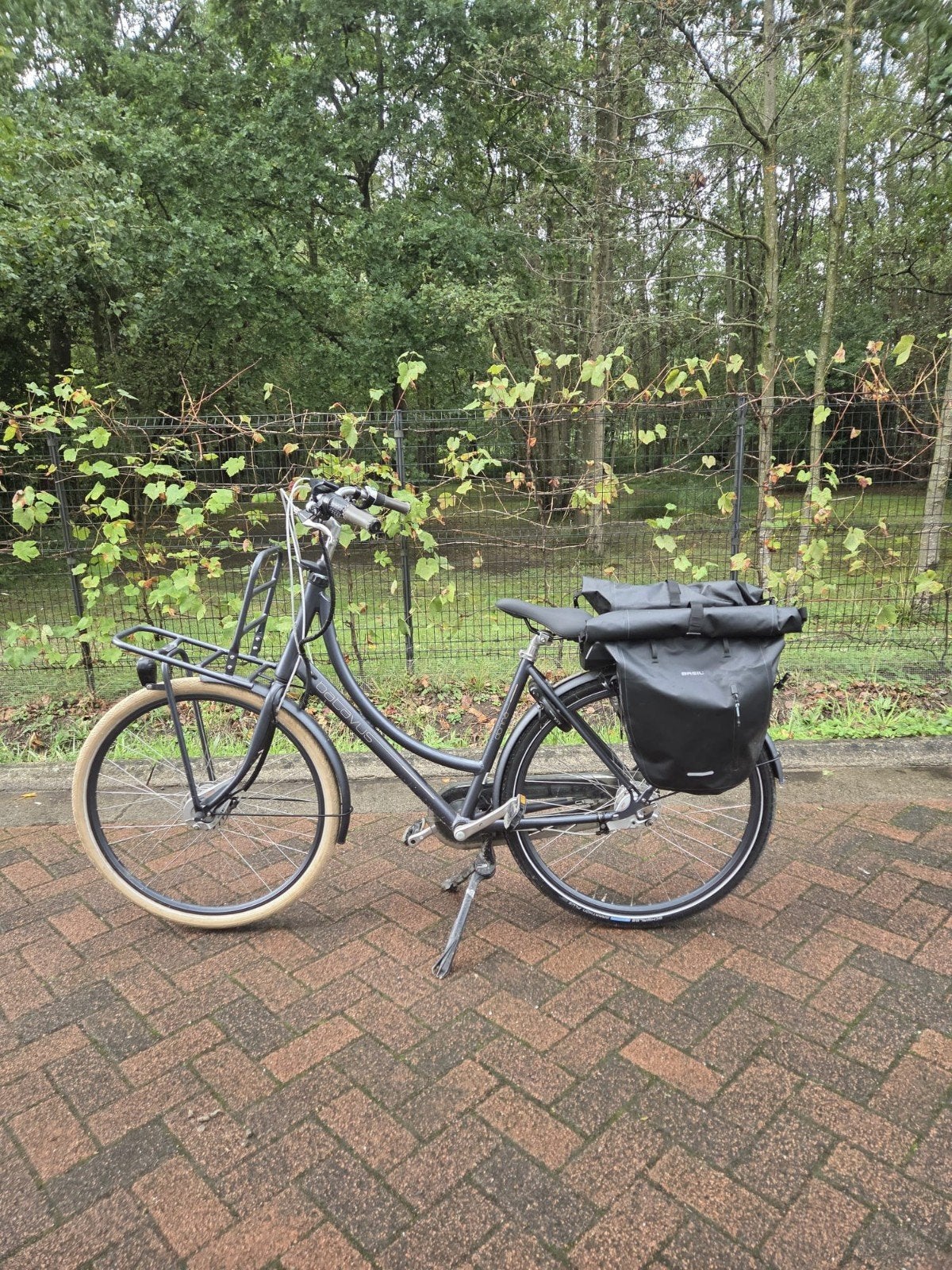 batavus donna e go elektrische fiets, Fietsen en Brommers, Ophalen, Gebruikt, 30 tot 50 km per accu, Batavus