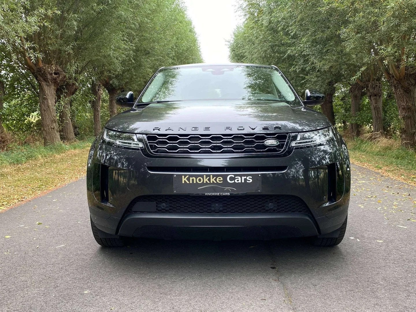Land Rover Range Rover Evoque VERWACHT P300E Plug in Hybrid,, Auto's, Automaat, Euro 6, 300 pk, https://public.car-pass.be/vhr/84b98fda-f94a-4c2e-a3f3-9abd80675667