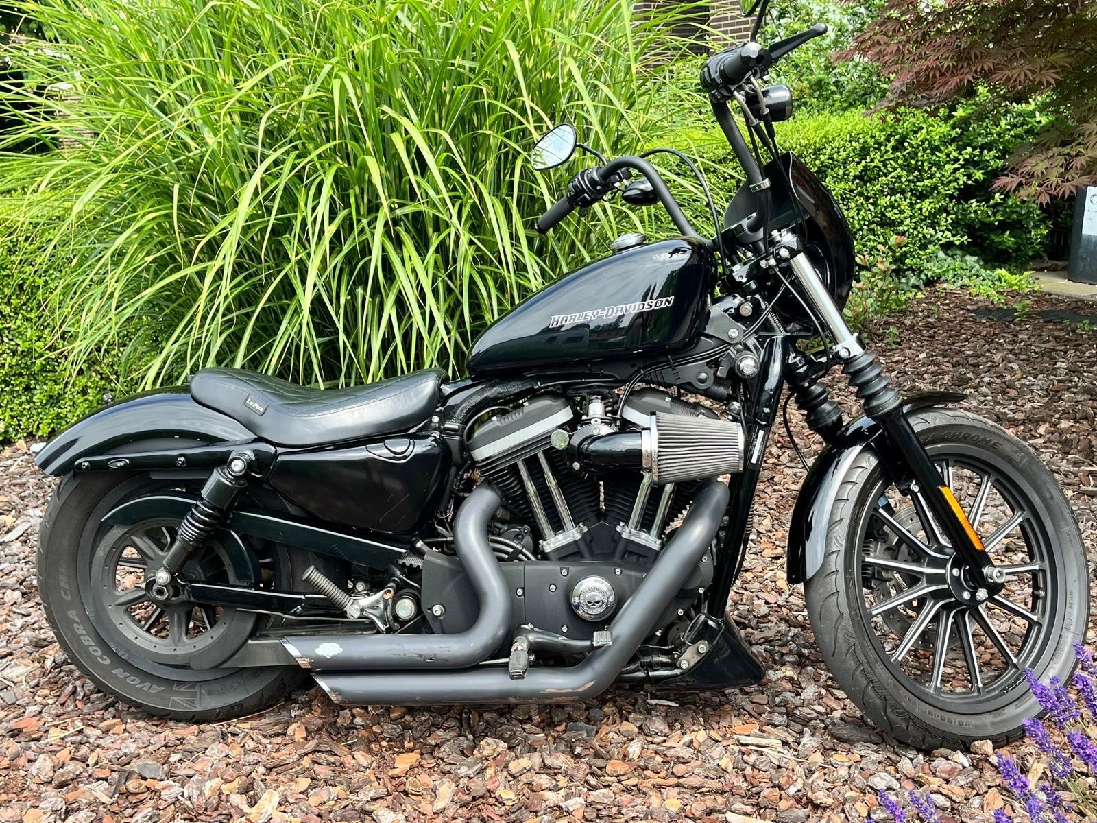 Harley Davidson 883, Motoren, Motoren | Harley-Davidson, Particulier, Chopper, 12 t/m 35 kW, 2 cilinders, Ophalen