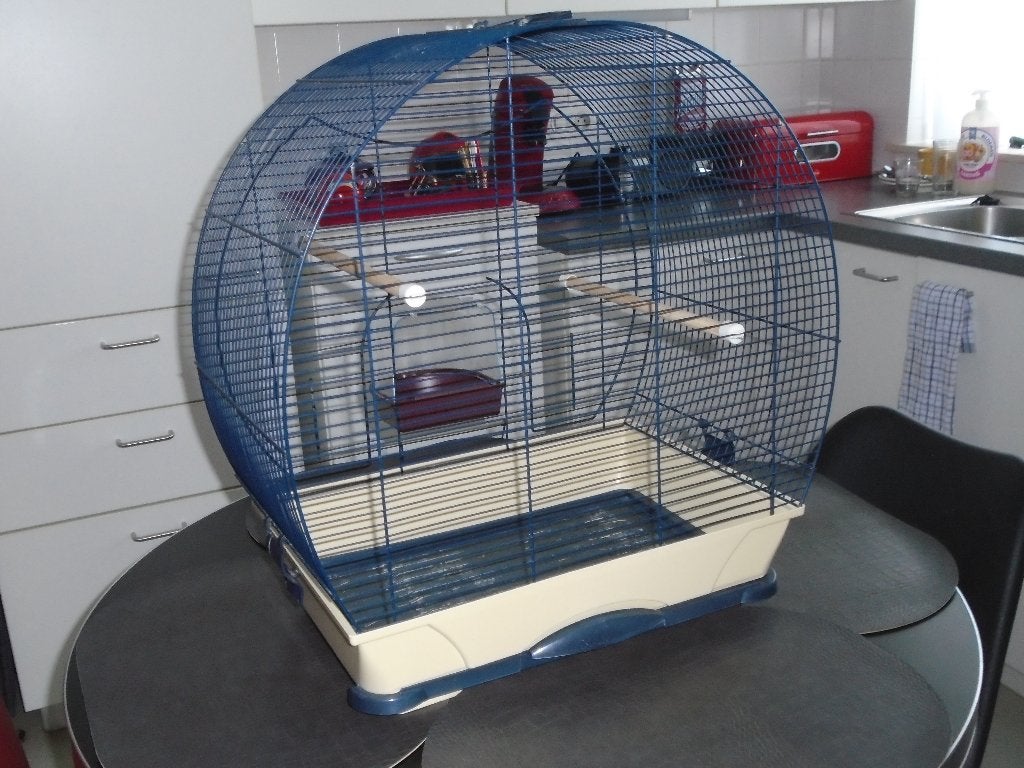 vogelkooi met bad, Enlèvement, Utilisé, Métal, Cage à oiseaux