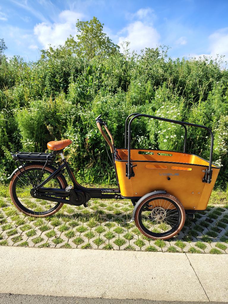 Bakfiets Vogue Carry 3, Gebruikt, Elektrisch, 2 kinderen, Schijfrem