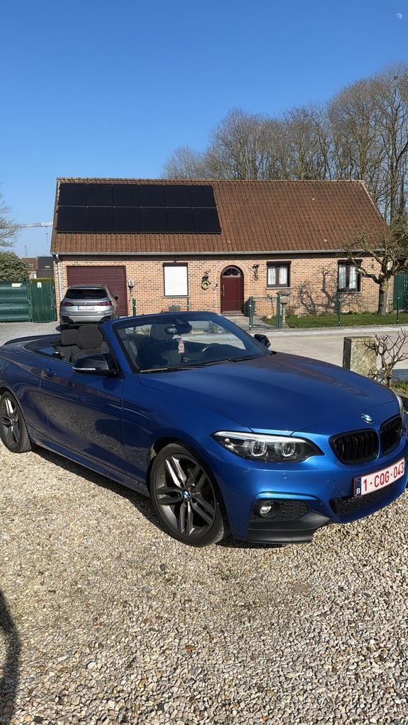 BMW 218i, Auto's, BMW, 100 kW, Achterwielaandrijving, Zwart, Blauw
