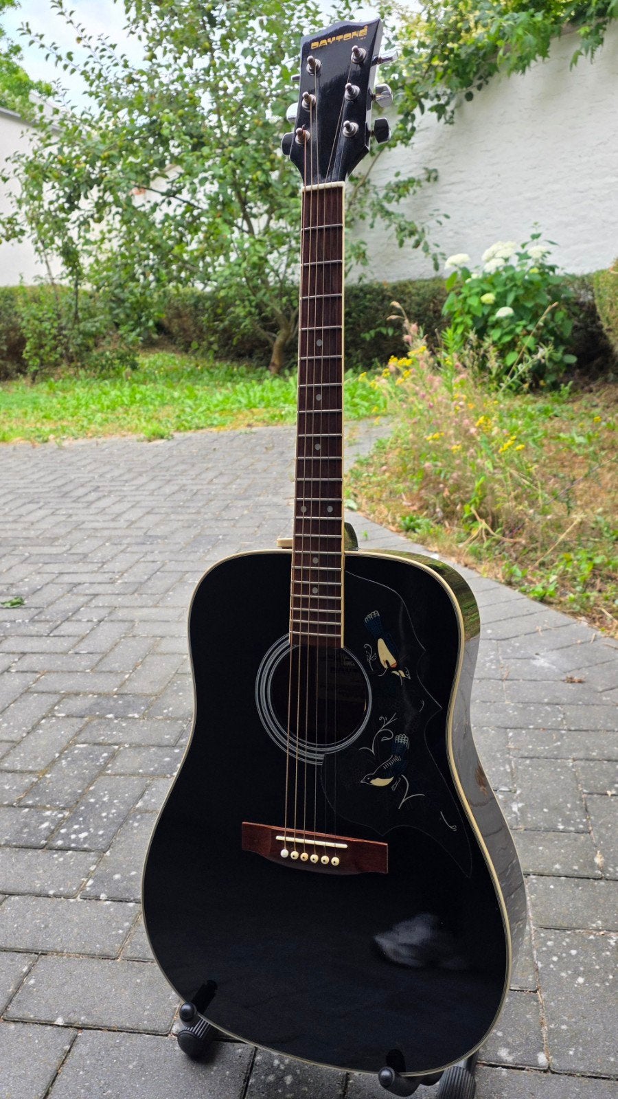 Vintage Daytone / Lorenzo Bluebird Akoestische Gitaar, Muziek en Instrumenten, Ophalen