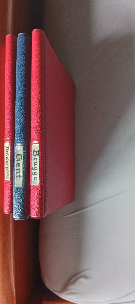 artis-historia geschiedenis der steden  brugge, gent, antw, Boeken, Ophalen of Verzenden, Gelezen, Prentenboek