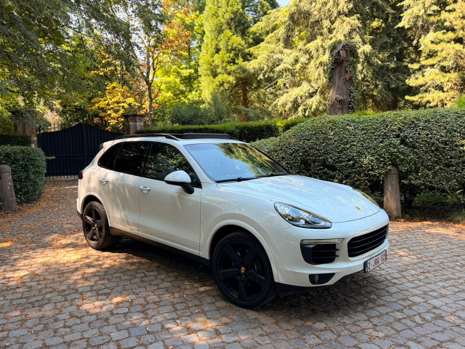 Porsche Cayenne Platinum Edition, Auto's, Porsche, Particulier, Cayenne, 4x4, Aangepast voor mindervaliden, ABS, Adaptieve lichten