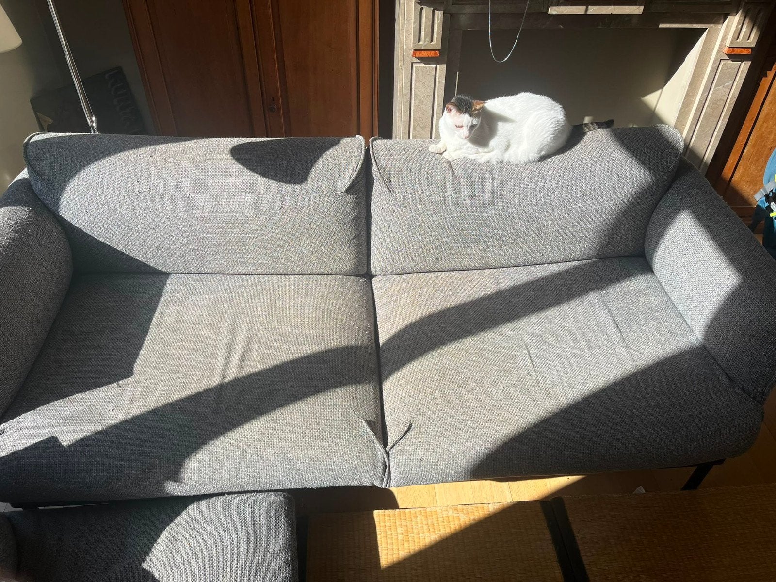 Canapé Ikea APPLARYD 2 places, 75 à 100 cm, Enlèvement, Utilisé, Deux personnes