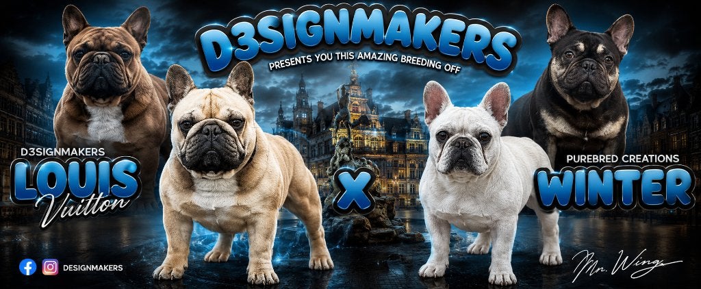 Franse Bulldog pups bij ons thuis geboren, Maladie de Carré (chiens), 8 à 15 semaines, Bouledogue, Plusieurs
