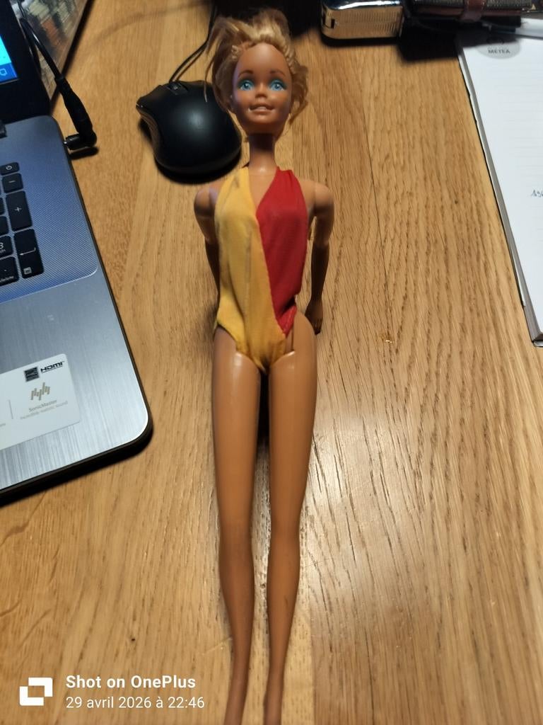 Barbie 1966, Enlèvement